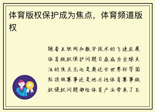 体育版权保护成为焦点,体育频道版权