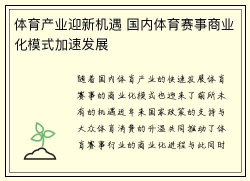 体育产业迎新机遇 国内体育赛事商业化模式加速发展