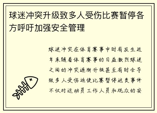 球迷冲突升级致多人受伤比赛暂停各方呼吁加强安全管理